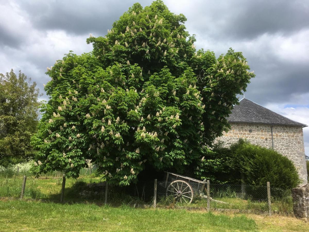 Les Pipistrelles 19 - Chambre D'Hotes Meymac Luaran gambar